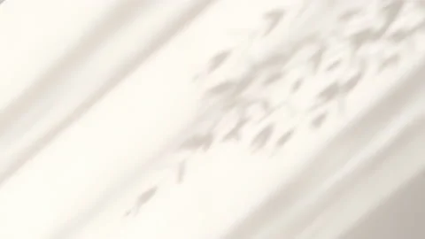 Shadow white background of natural leaves tree falling on wall Stock Footage 175932270