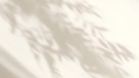Shadow white background of natural leaves tree falling on wall Stock-Footage 175934266