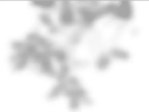 Shadow on white wall vector background mock up, blurred soft shadow from the イラスト素材