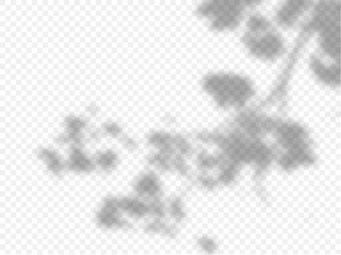 Shadow on white wall vector background mock up, blurred soft shadow from the 스톡 일러스트