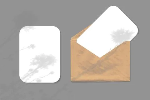 The shadow of wildflowers falls on an envelope with two sheets of textured white Stock Illustration