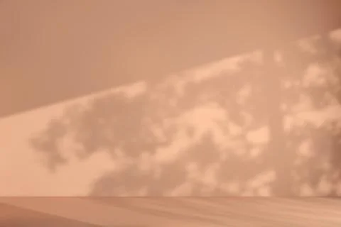 Shadow of Window and Sunlight on Empty Room Peach Wall and Floor. 3d Renderin Stock Illustration