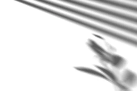 Shadow from window blinds and plant, overlay effect. Realistic gray shadow on Illustrazione stock