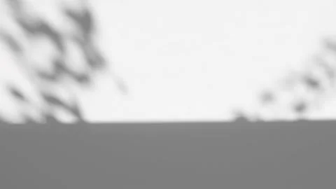 Shadow from a window on a gray wall with moving branches  vertical video. Stock Footage 164842133