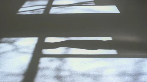 Shadow of the windows and the man 1 Video stock 49627570