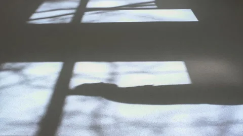 Shadow of the windows and the two men 3 Stock Footage 49627495