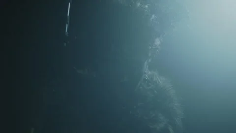 Shadow witch looking at the camera Stock Footage 259899997