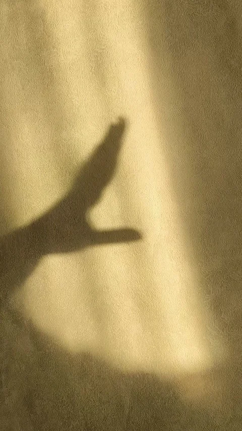 Shadow of a womans hand on the wall due to sunlight. The concept of beauty Stock Footage 326122747