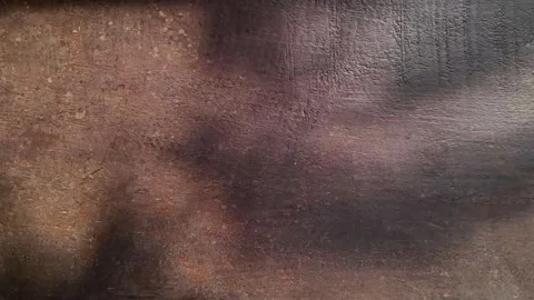 Shadow on wood Stock Footage 258527949