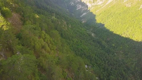Shadowed forest in canyon at Dinaric Alps in Montenegro. Aerial mountain view 库存影片 82844448