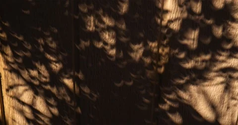 Shadowed leaves project crescent mini-solar eclipse onto an outdoor wall Stock Footage 288947601