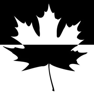 Shadowed maple leaf silhouette Stock Illustration