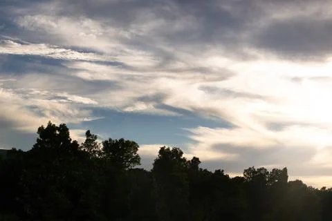 Shadowed Trees Against an Evening Sky Stock Photos
