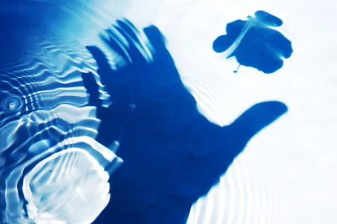 ShadowGrow Stock Photos