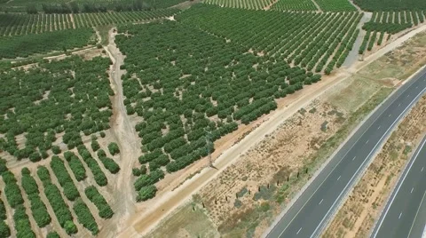 Shadowing of the long highway Stock Footage 54333139