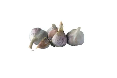 Shadowless image of garlic on a white background. Foto stock