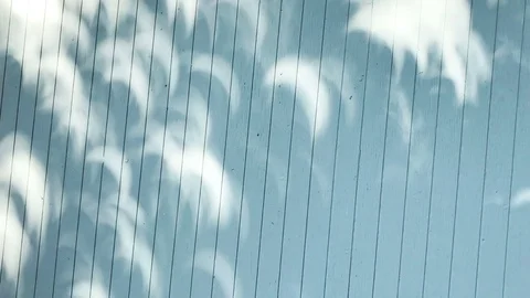 Shadows of 2017 eclipse Stock Footage 81747868