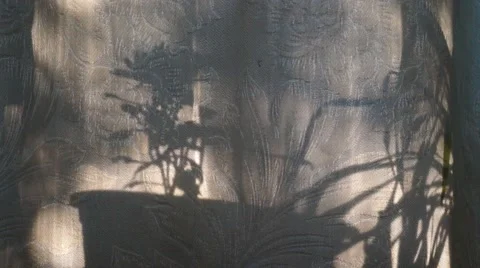 Shadows and light pattern moving with wind flow Stock Footage 52127842