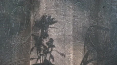 Shadows and light pattern moving with wind flow Stock Footage 52127948