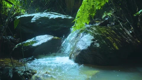 Shadows and Light: A Stream Cascading Over Mossy Rocks Stock Footage 285699942