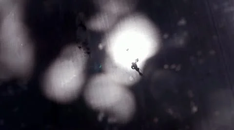 Shadows and light through Branches on grimy window Stock Footage 12618503