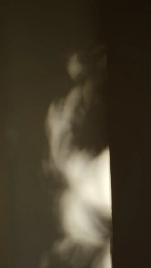 Shadows and lights. Video stock 279753096