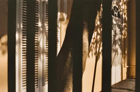 Shadows and Lines 스톡 사진