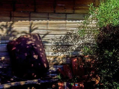 Shadows and old objects against the cane wall of a rustic shed in a farm near Foto stock