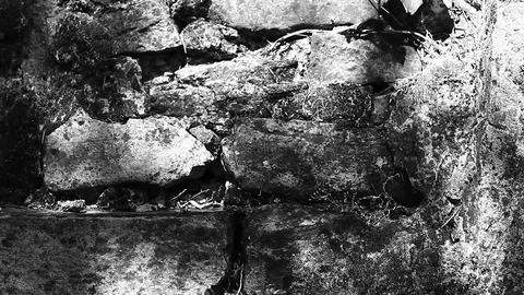 Shadows and shades playing on old, decayed wall Stock Footage 80221766