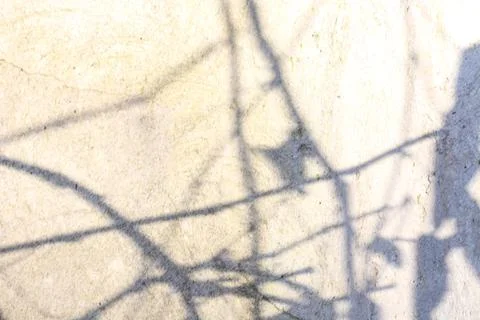 Shadows background with sunlight spots Stock Photos