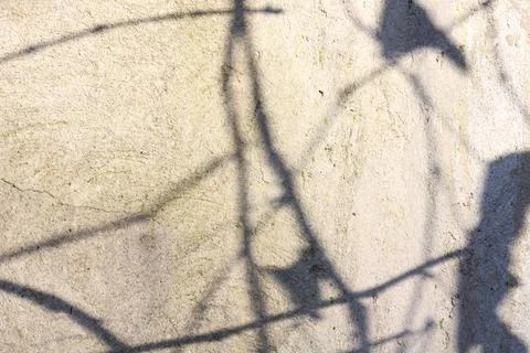 Shadows background with sunlight spots Stock Photos