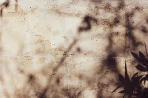 Shadows background with sunlight spots Stock Photos