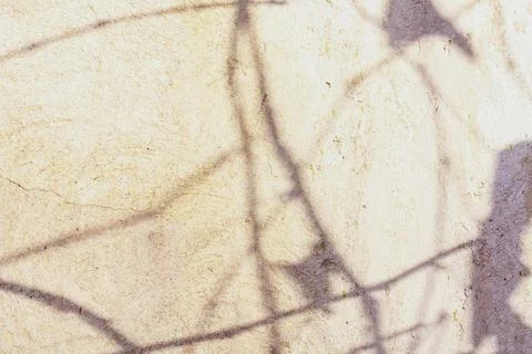 Shadows background with sunlight spots Stock Photos