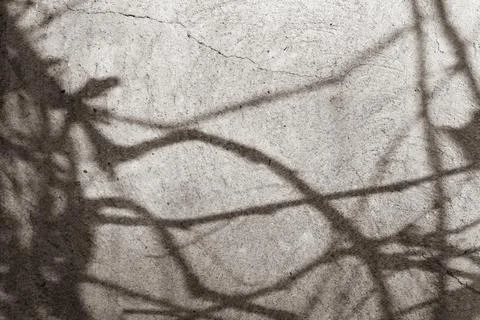 Shadows background with sunlight spots Stock Photos