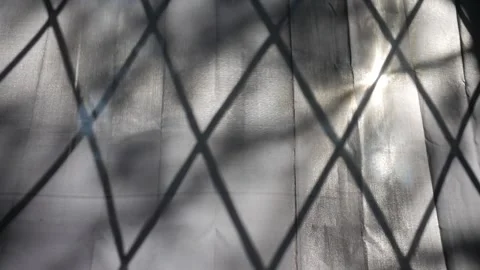 Shadows of the barred window fall on the window shades. Video stock 141879780