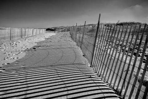Shadows on the beach Stock Photos