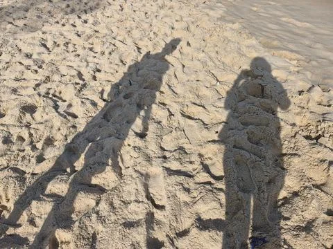 Shadows on the beach sand Stock Photos