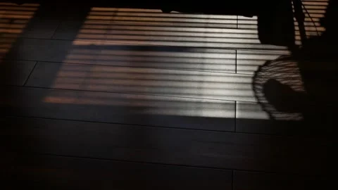 Shadows from the blinds on the floor. Vídeos de archivo 249836603
