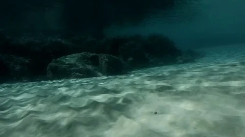 Shadows on the bottom of the sea Stock Footage 81813906