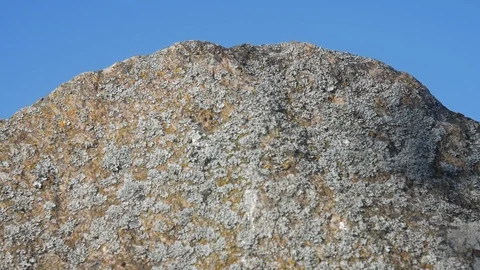 Shadows of branches on a stone 2 Video stock 130136392