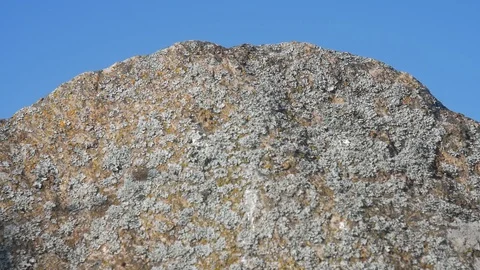 Shadows of branches on a stone. The wind covers the stone by straw 1 Stock Footage 130136182