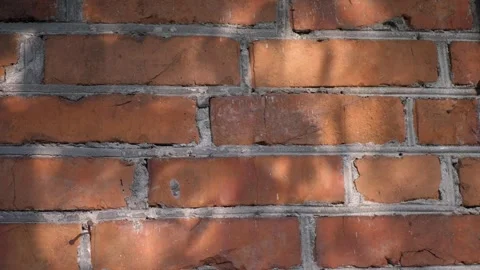 Shadows on a bric wall Stock Footage 313821691