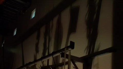 Shadows butcher attributes03 Video stock 806289