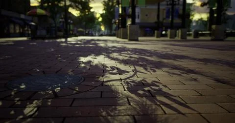 Shadows cast on cobblestone pathway during twilight near urban park Stock Illustration