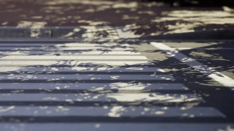 Shadows cast on crosswalk during bright day Stock Footage 343562444