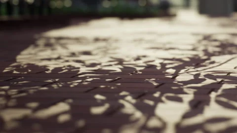 Shadows cast by leaves on a tiled surface during daytime in a garden Stock Footage 340983432