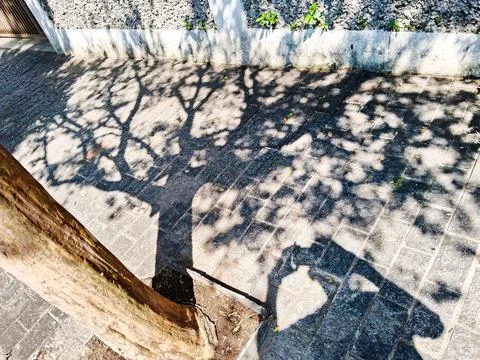 Shadows cast on a sidewalk. Stock Photos
