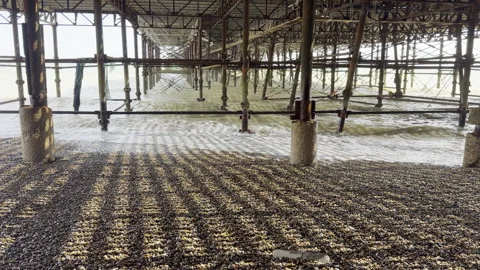 Shadows cast under seaside structural pier 4K Stock Footage 338132477