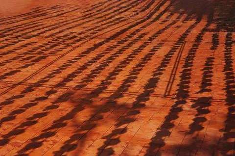 Shadows Cast on a Vibrant Tiled Surface During the Afternoon Stock Photos