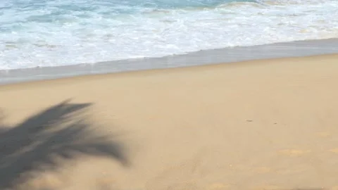 Shadows of coconut trees on the beach Vidéo 163493268
